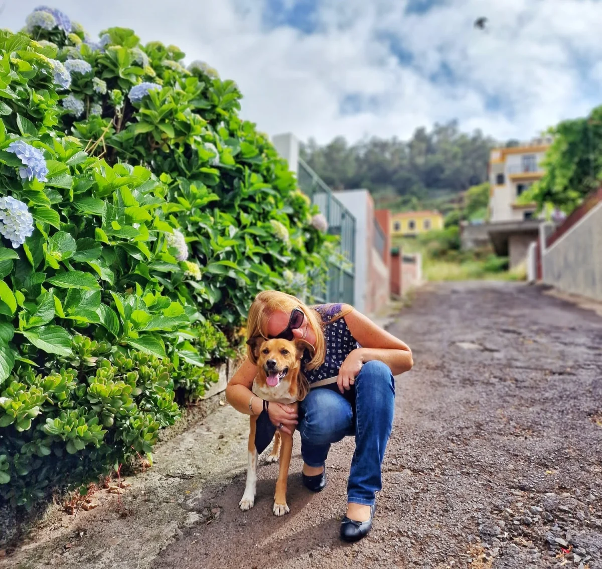 Foto do trabalho